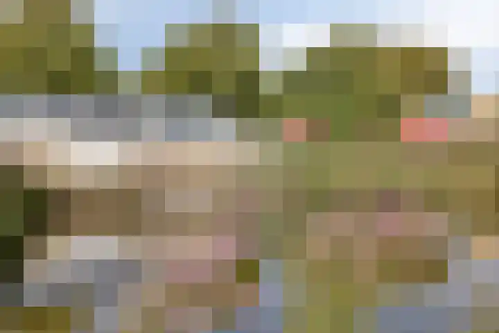 Dr. Arienslaan 126 Maarssen thumbnail 27
