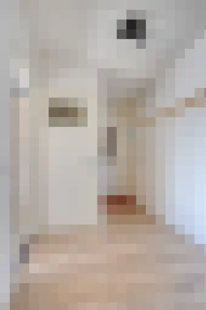 Dr. Arienslaan 126 Maarssen thumbnail 6