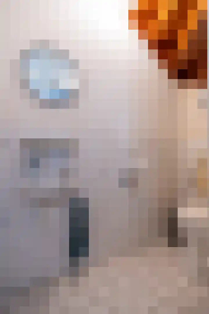 Dr. Arienslaan 15 Maarssen thumbnail 37