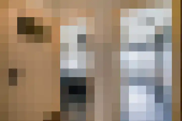 Dr. Arienslaan 170 Maarssen thumbnail 27