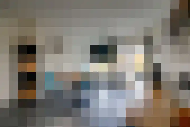 Dr. Arienslaan 170 Maarssen thumbnail 8