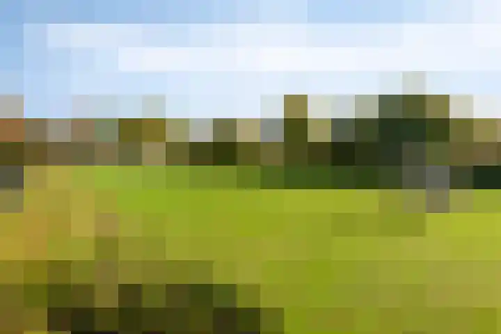 Dr. Arienslaan 3 Maarssen thumbnail 31