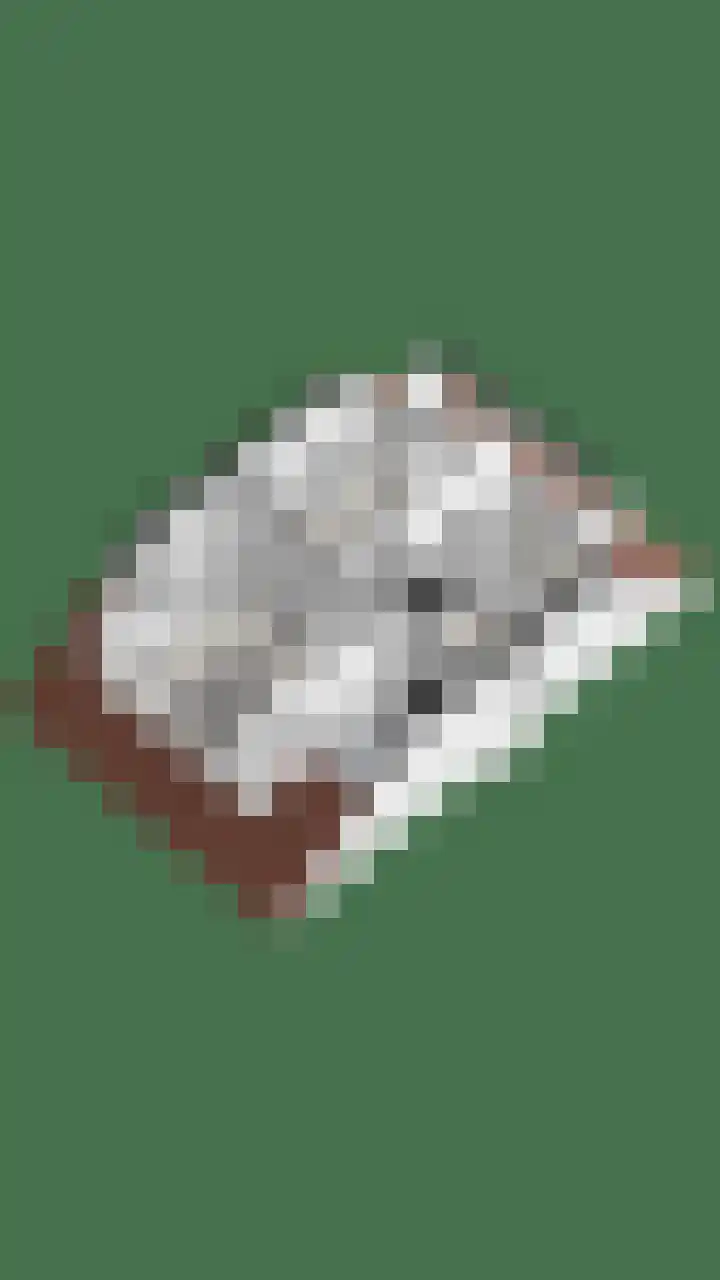 Dr. Arienslaan 3 Maarssen thumbnail 39