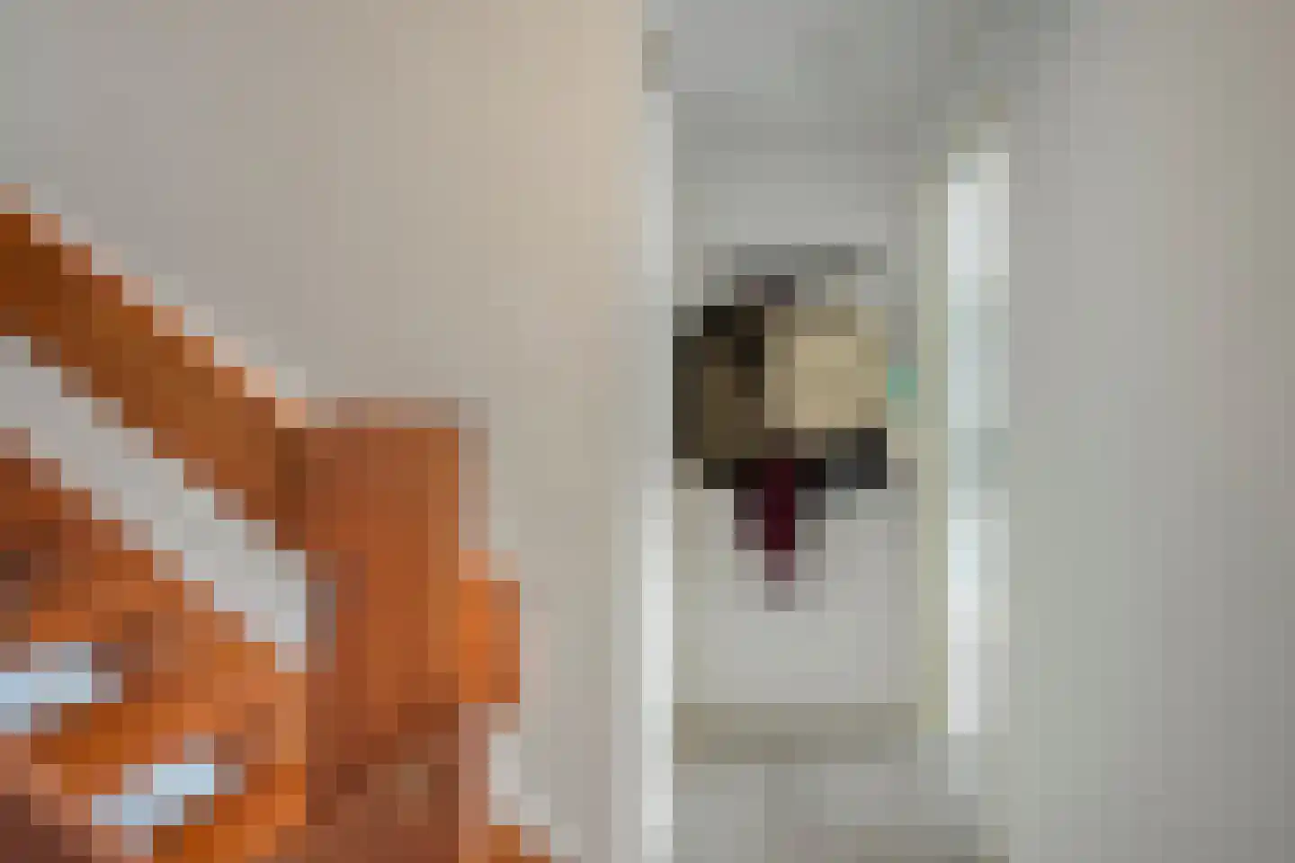 Dr. Arienslaan 6 Maarssen thumbnail 16