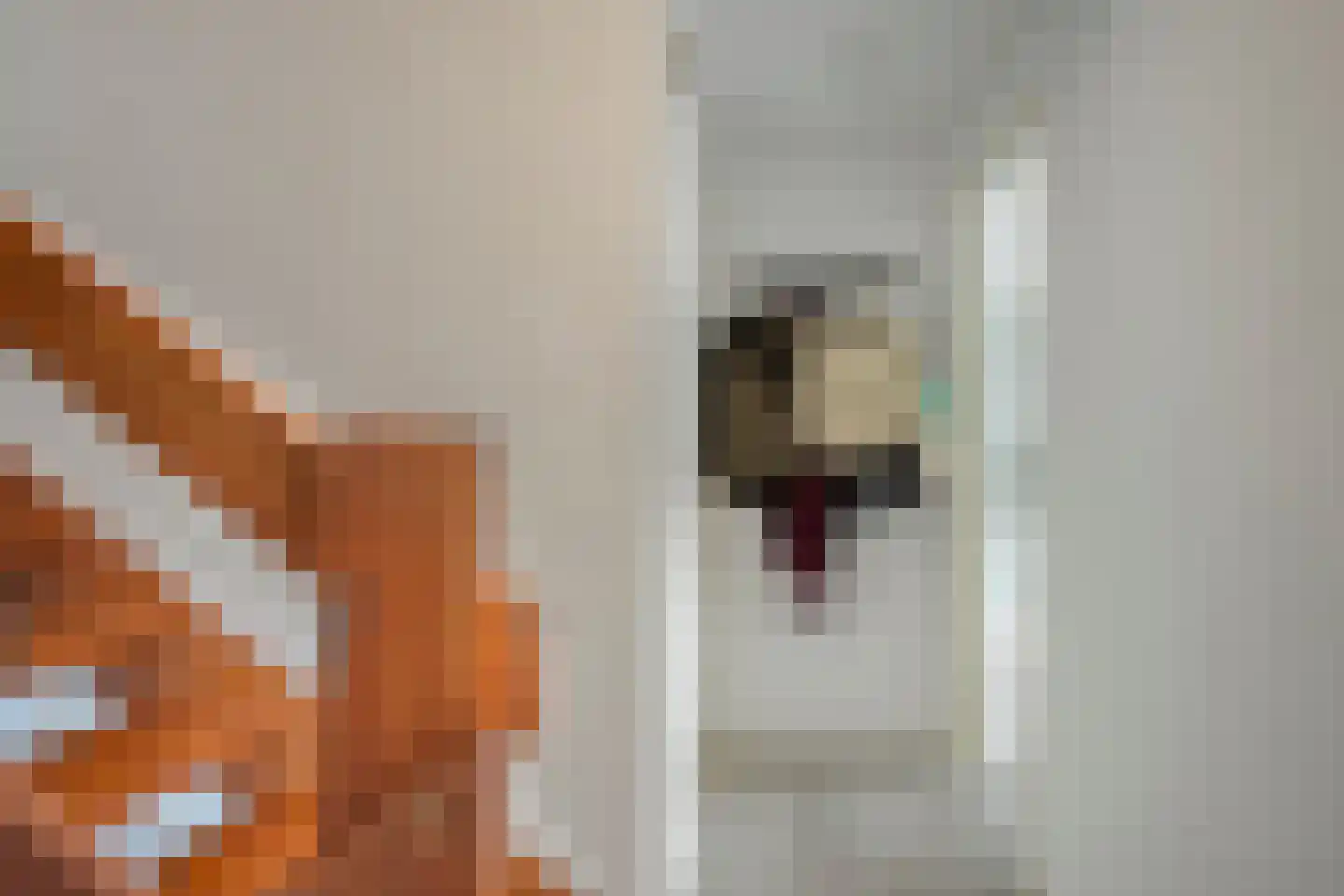Dr. Arienslaan 6 Maarssen thumbnail 18