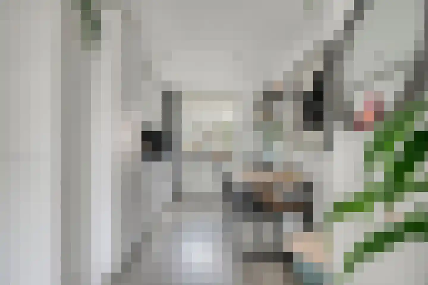 Dr. Arienslaan 6 Maarssen thumbnail 21