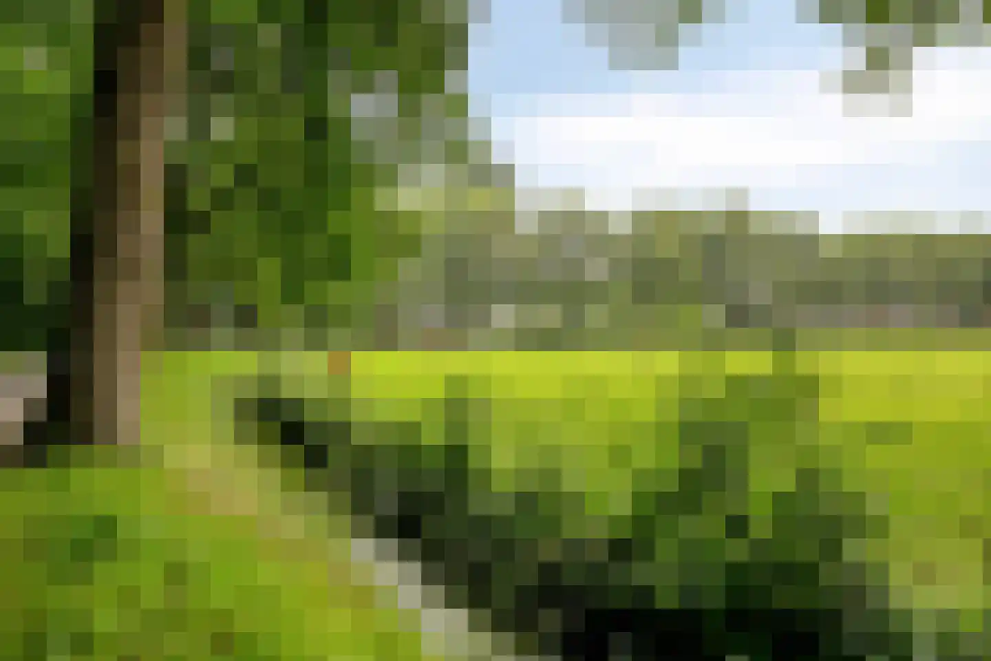 Dr. Arienslaan 6 Maarssen thumbnail 38