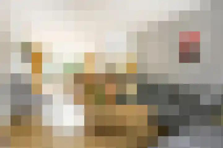 Dr. Ariënslaan 8 De Meern thumbnail 10