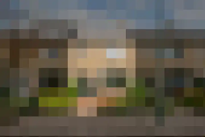 Dr. Ariënslaan 8 De Meern foto 2