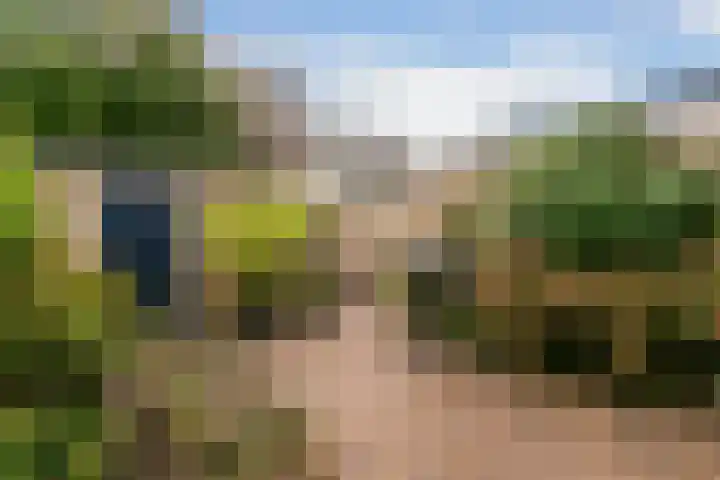 Dr. Ariënslaan 8 De Meern thumbnail 26
