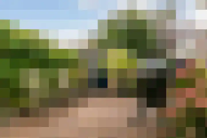 Dr. Ariënslaan 8 De Meern thumbnail 27