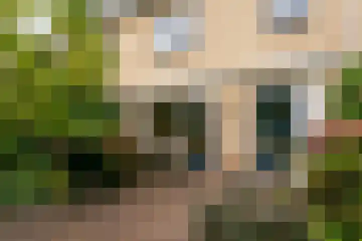 Dr. Ariënslaan 8 De Meern thumbnail 28