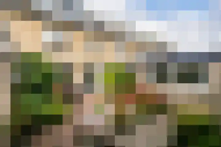 Dr. Ariënslaan 8 De Meern thumbnail 30