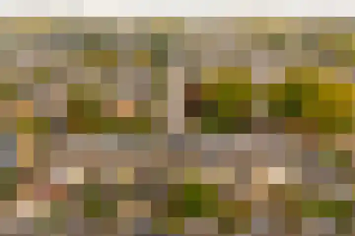 Dr. Ariënslaan 8 De Meern thumbnail 31