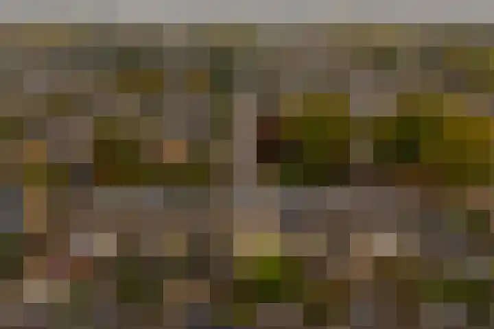 Dr. Ariënslaan 8 De Meern thumbnail 32