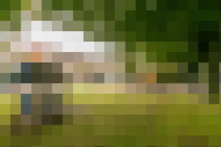 Dr. Ariënslaan 8 De Meern thumbnail 34