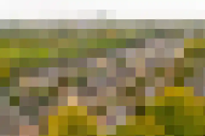 Dr. Ariënslaan 8 De Meern thumbnail 4