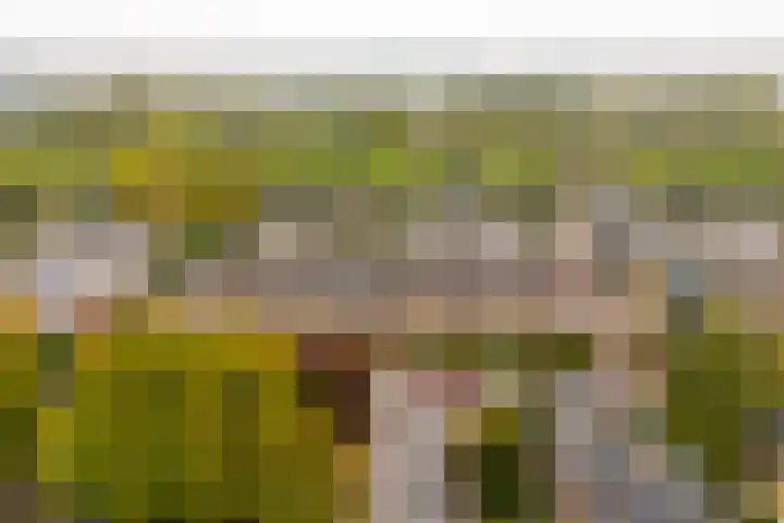 Dr. Ariënslaan 8 De Meern thumbnail 5