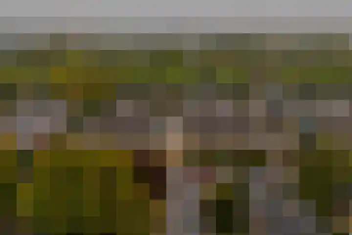 Dr. Ariënslaan 8 De Meern thumbnail 6