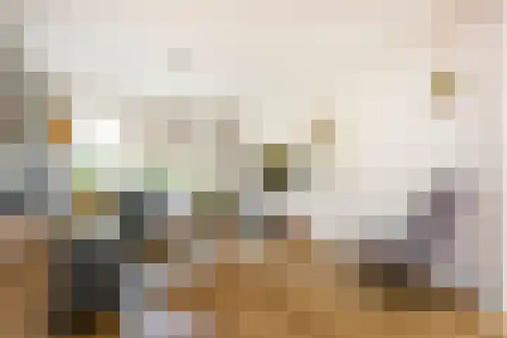 Dr. Ariënslaan 8 De Meern thumbnail 8