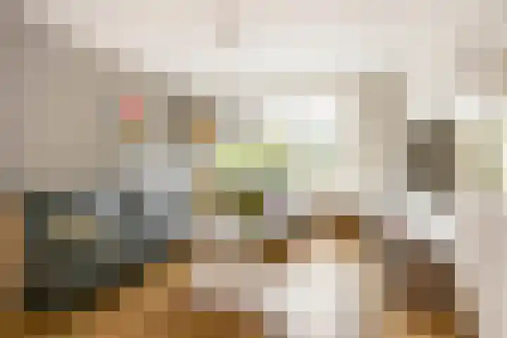 Dr. Ariënslaan 8 De Meern thumbnail 9