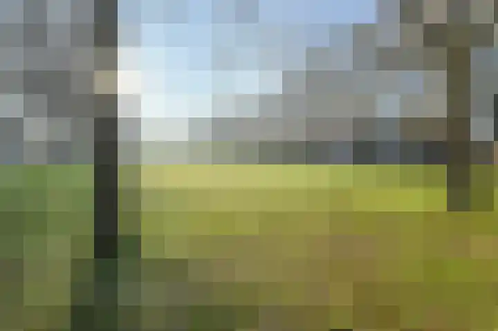 Dr. Ariënsplein 27 B1 Breda thumbnail 27