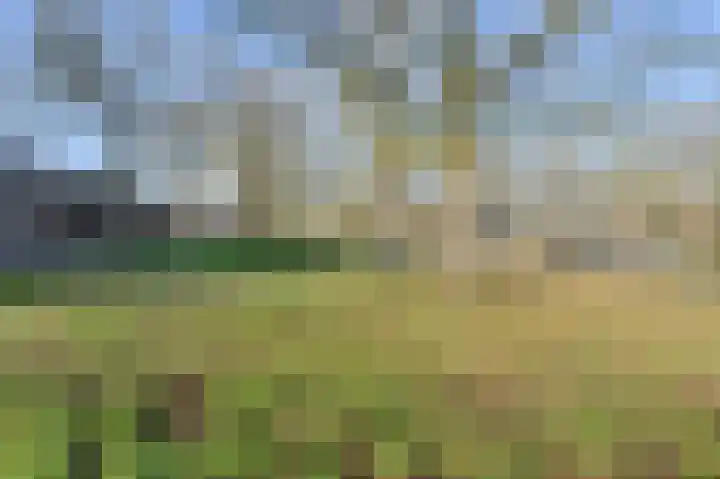 Dr. Ariënsplein 27 B1 Breda thumbnail 28