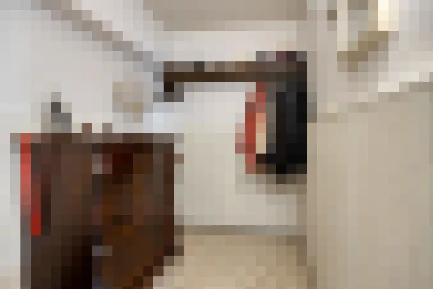 Dr Ariensstraat 1 Vaals thumbnail 11