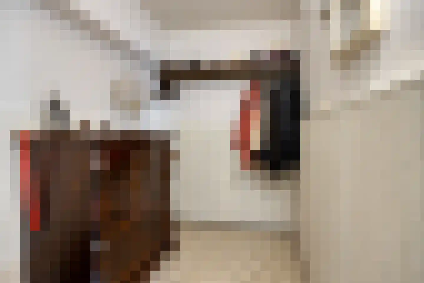 Dr Ariensstraat 1 Vaals thumbnail 13