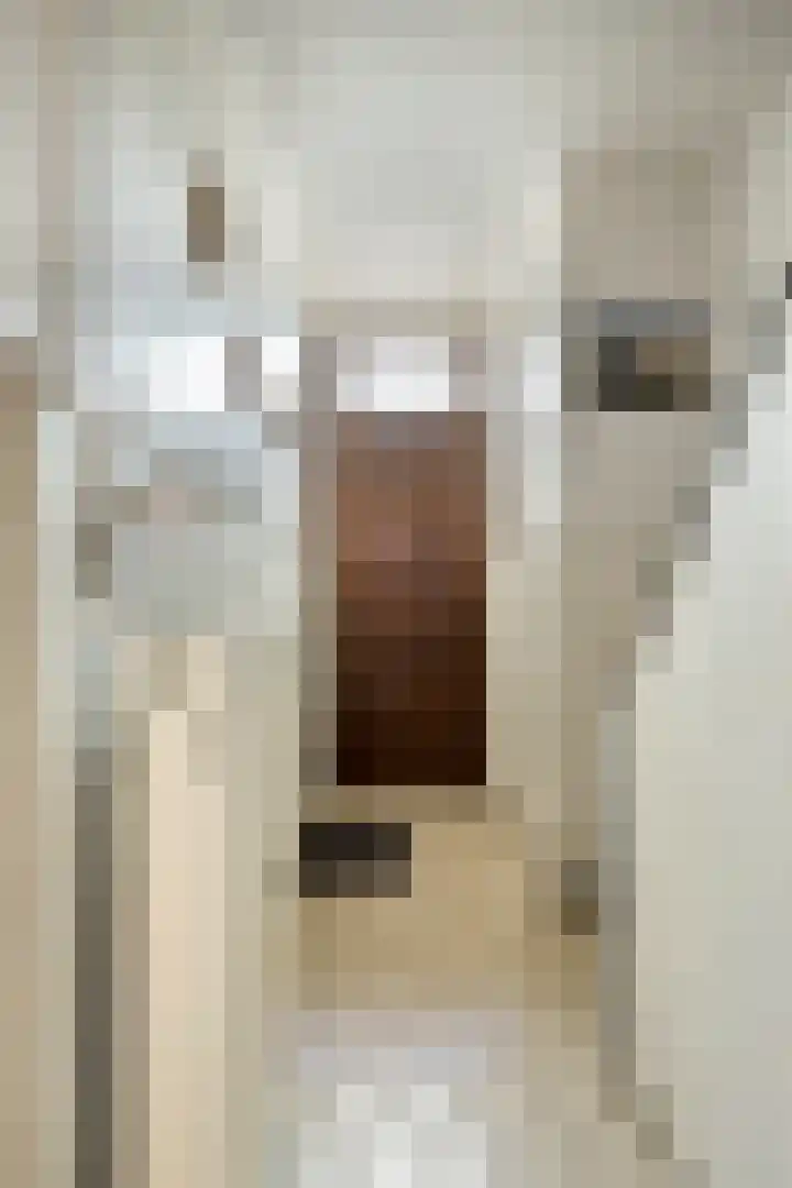 Dr Ariensstraat 1 Vaals thumbnail 14