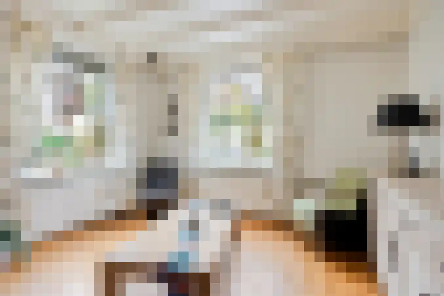 Dr Ariensstraat 1 Vaals thumbnail 7