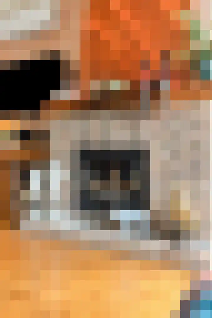 Dr Ariensstraat 1 Vaals thumbnail 8