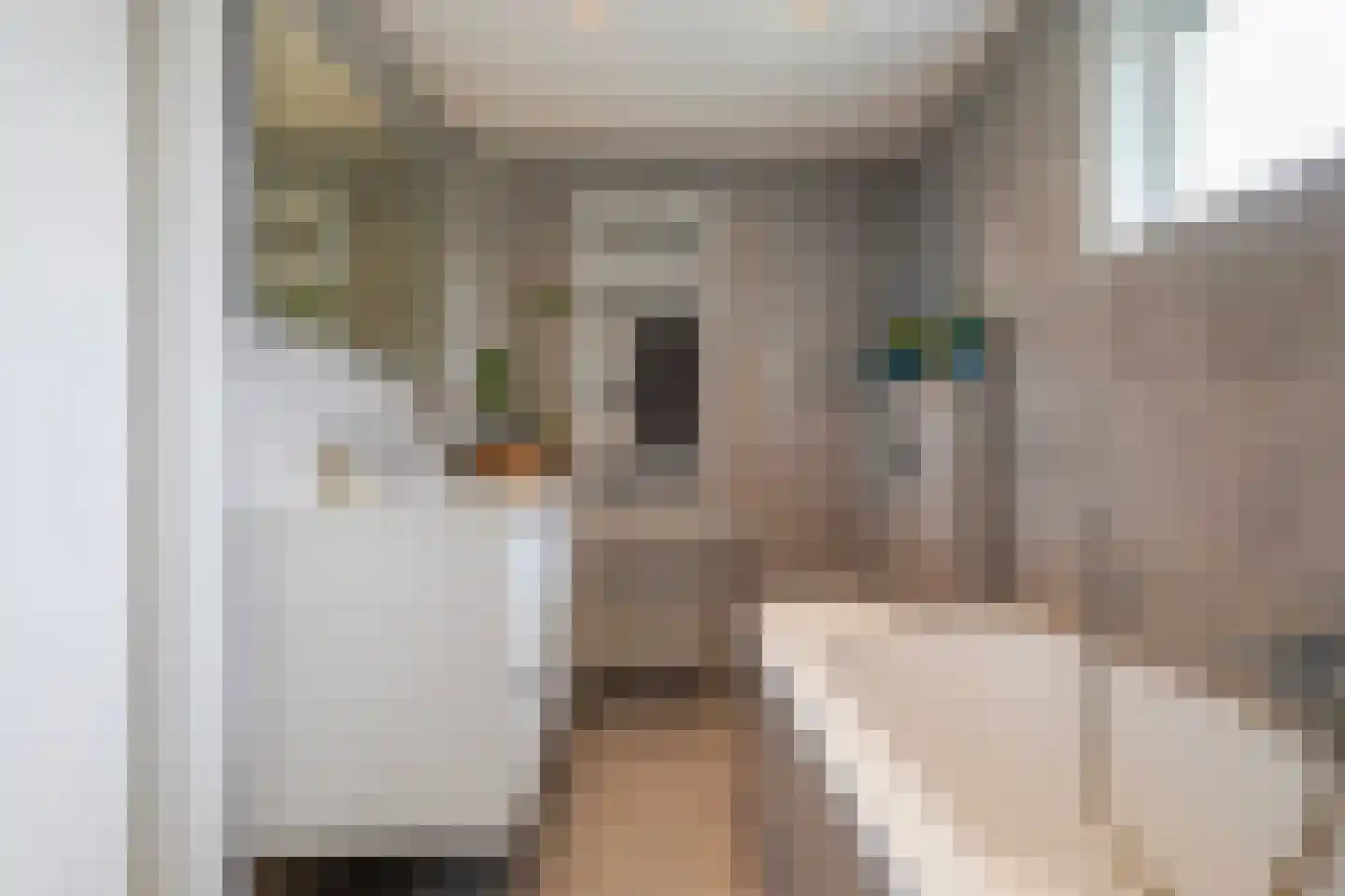 Dr. Ariënsstraat 10 Berkel-Enschot thumbnail 31