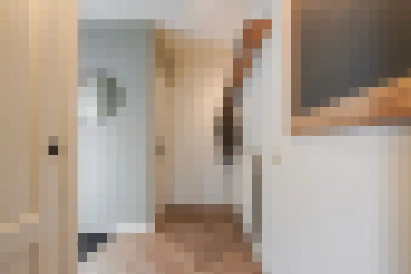 Dr. Ariënsstraat 10 Berkel-Enschot thumbnail 6