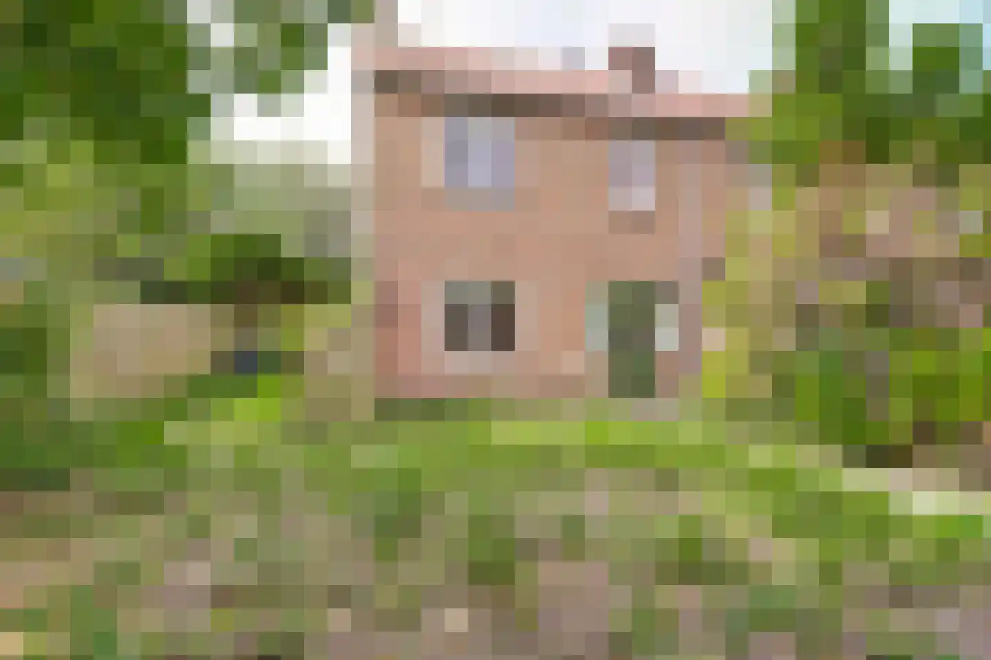 Dr. Ariënsstraat 11 Nieuwegein thumbnail 15
