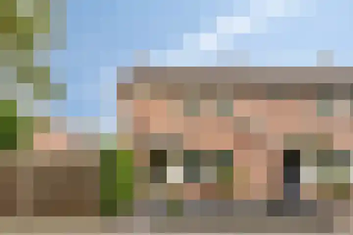 Dr Ariënsstraat 115 in Overdinkel