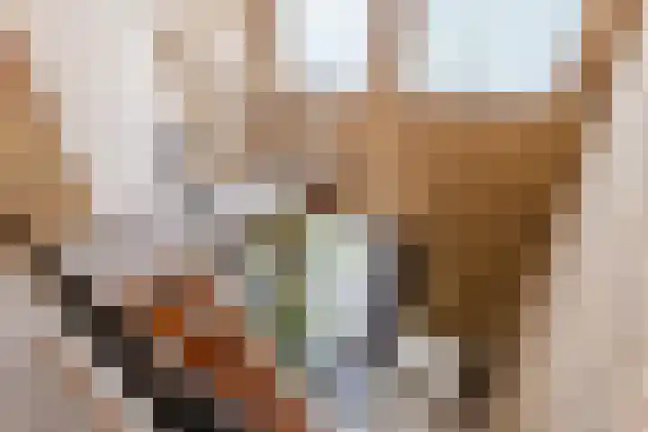 Dr. Ariënsstraat 19 Berghem thumbnail 31