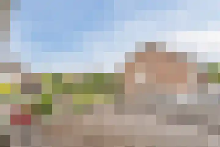 Dr. Ariënsstraat 19 Berghem thumbnail 4