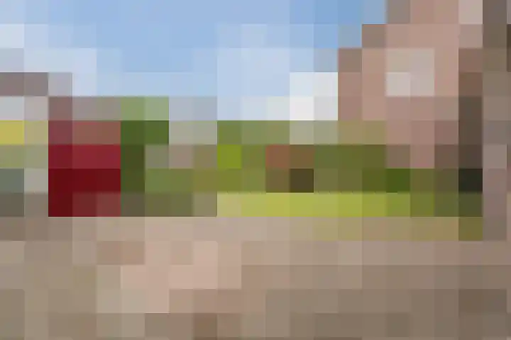 Dr. Ariënsstraat 19 Berghem thumbnail 5