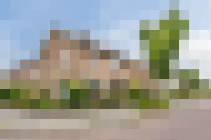 Dr. Ariënsstraat 19 Berghem thumbnail 6