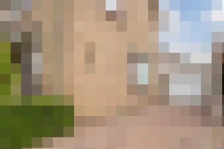 Dr. Ariënsstraat 19 Berghem thumbnail 7