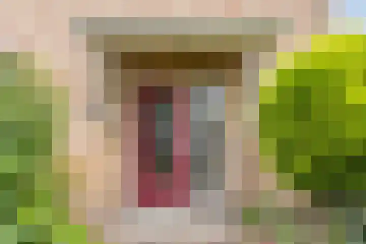 Dr. Ariënsstraat 19 Berghem thumbnail 8