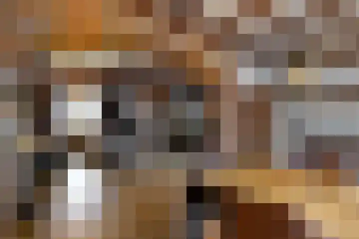 Dr. Ariënsstraat 22 Geleen thumbnail 9