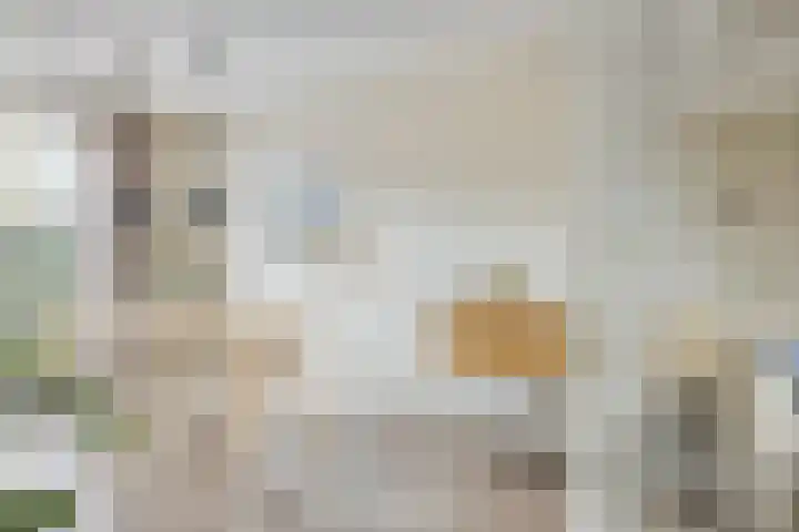 Dr. Ariënsstraat 25 B Panningen thumbnail 10