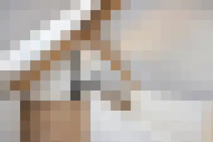 Dr. Ariënsstraat 25 B Panningen thumbnail 33