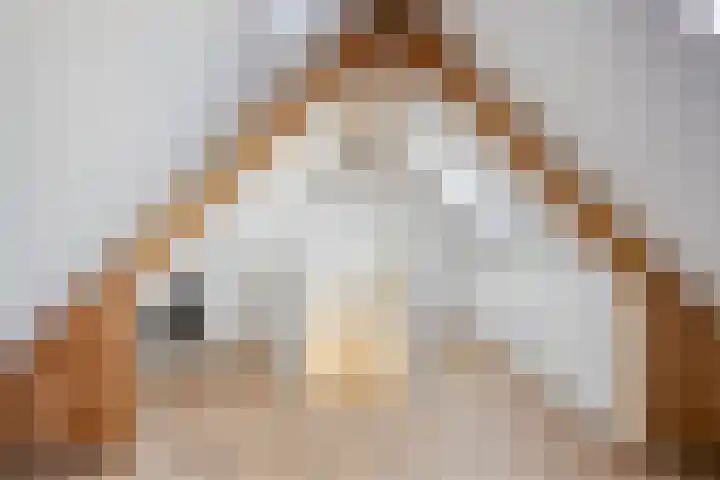 Dr. Ariënsstraat 25 B Panningen thumbnail 34