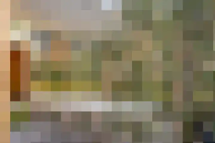 Dr. Ariënsstraat 25 B Panningen thumbnail 37