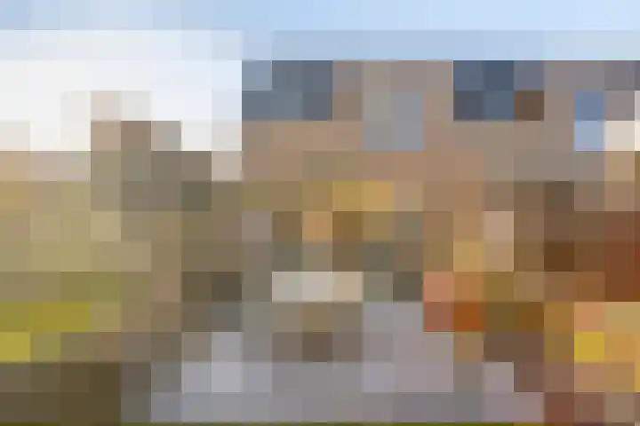 Dr. Ariënsstraat 25 B Panningen thumbnail 38