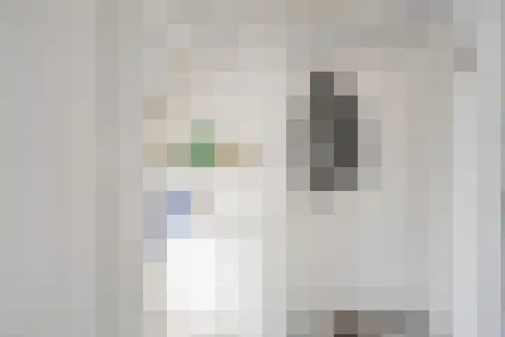 Dr. Ariënsstraat 25 B Panningen thumbnail 8