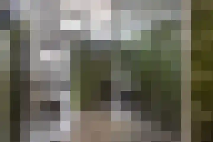 Dr.Ariënsstraat 3 Gennep thumbnail 24